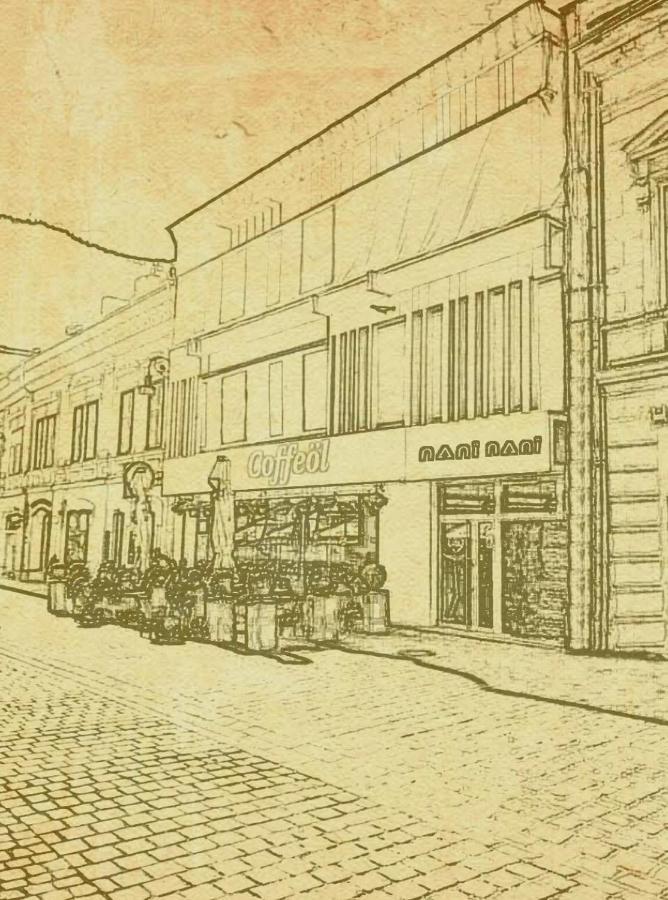 Nani Nani Boutique Hotel Braşov Eksteriør billede